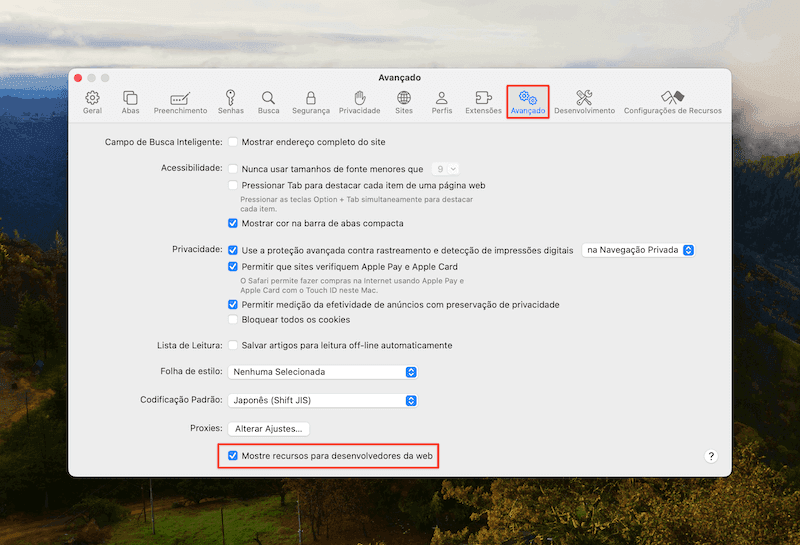 ative-a-opcao-mostrar-recursos-para-desenvolvedores-da-web-pt.png