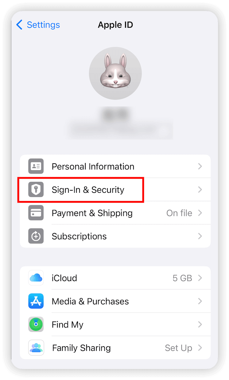 Change Apple ID Email and Phone Number on iPhone
