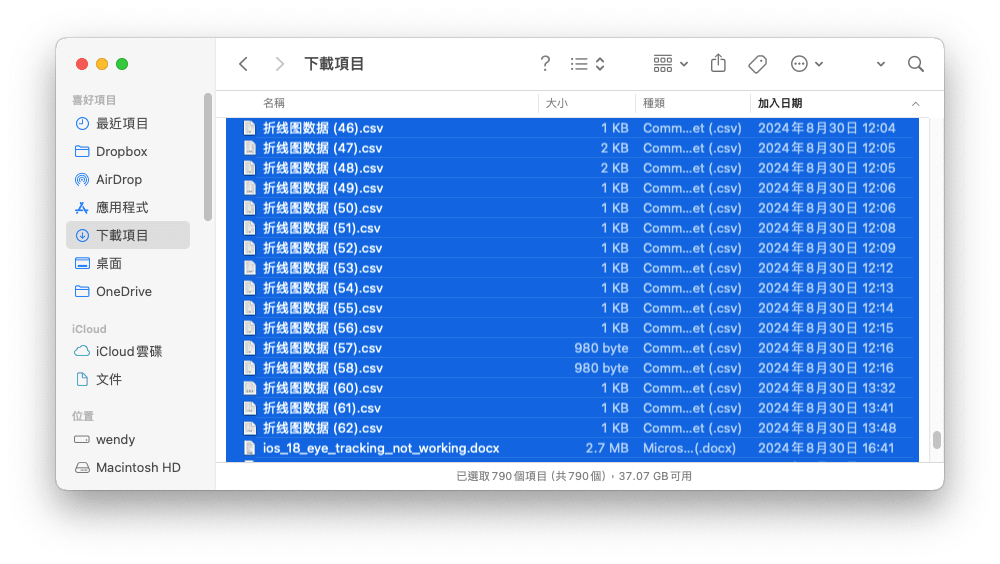 刪除 Mac 上的下載項目