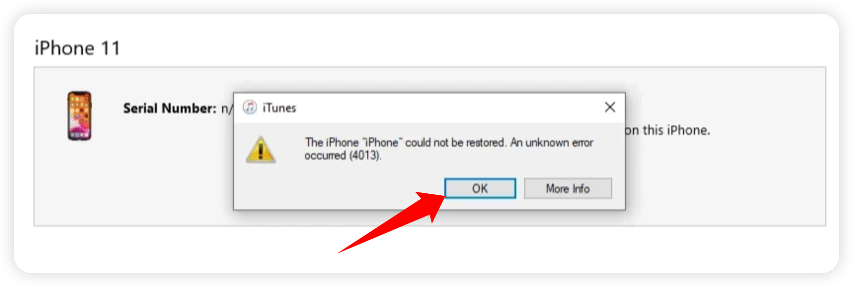 iPhone Error 4013