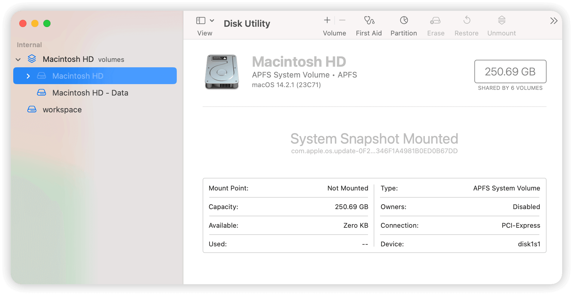 Macintosh HD and Macintosh HD volumes in Disk Utility