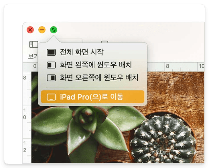 iPad의 확장 화면 방향을 변경하는 방법