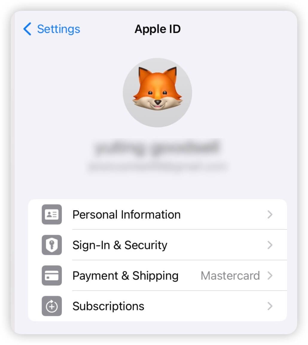 Payment and shipping settings on iPhone