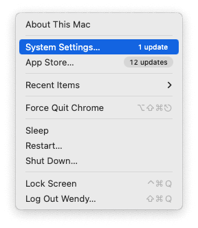System Settings in the Apple Menu