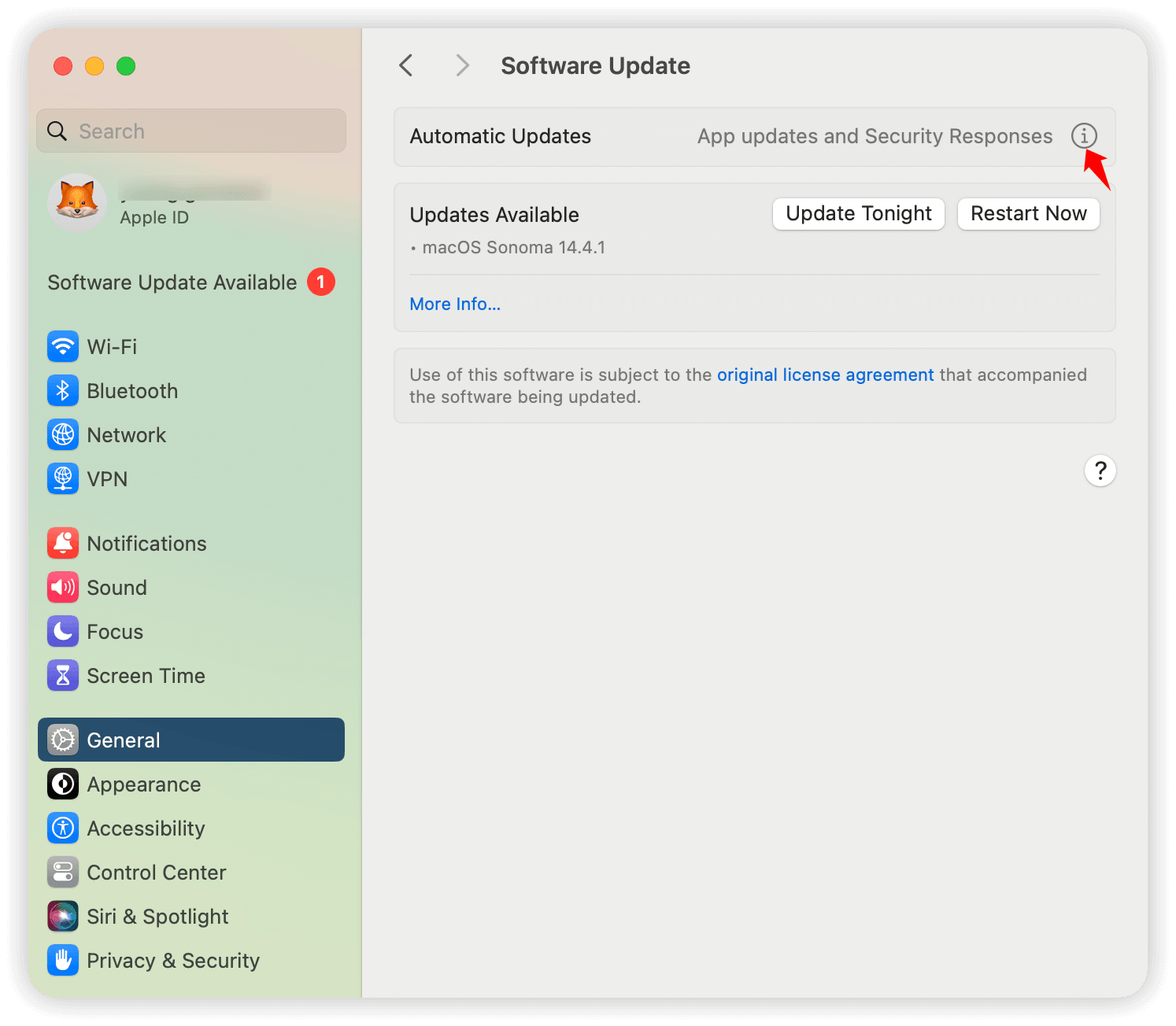 Automatic updates settings on Mac