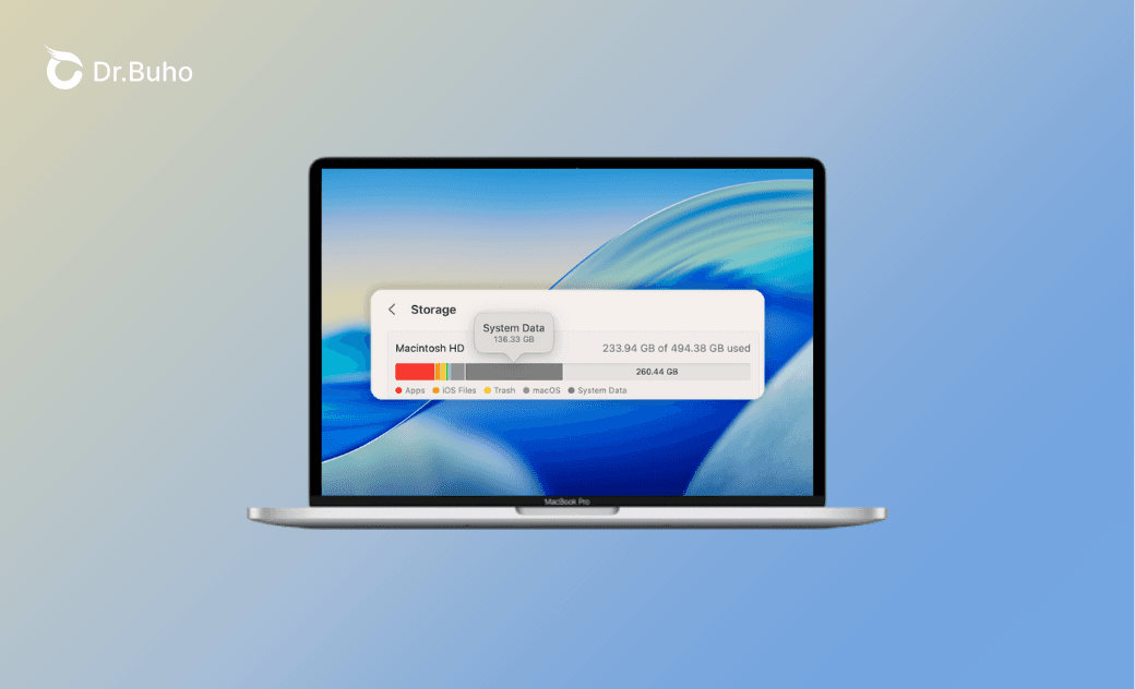 Mac "System Data" Too Large? 10 Ways to Clear It