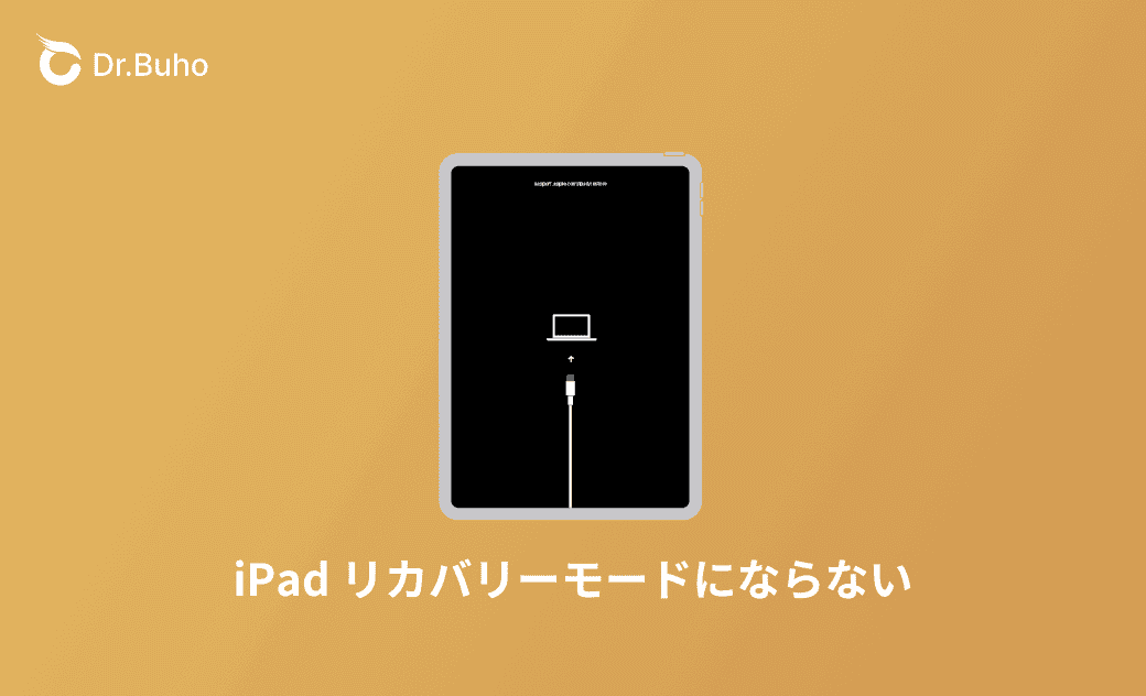iPad/iPhoneがリカバリーモードにならない場合の対処法